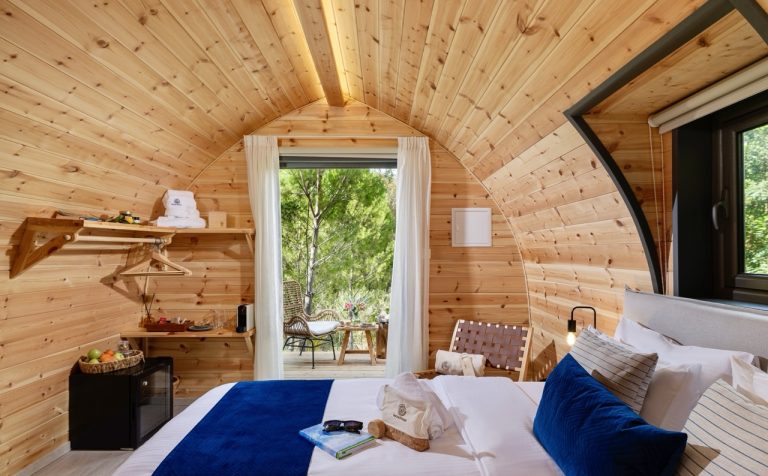 _״Shalee-66-2״-גדול