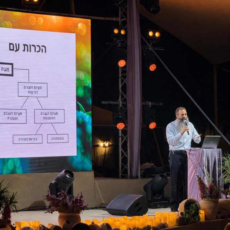 WhatsApp Image 2026-02-03 at 10.42.56 (5)